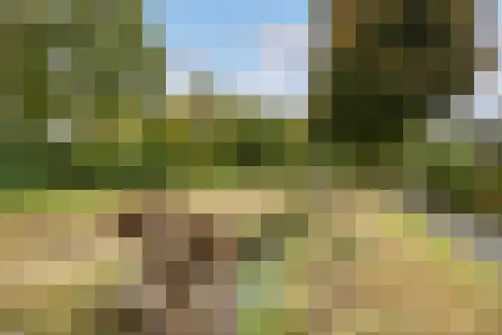 Agnietenhove 47 Leusden thumbnail 26