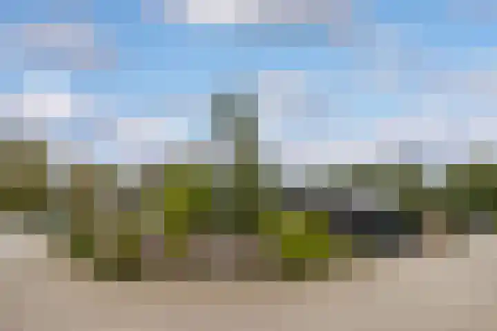 Agnietenhove 47 Leusden thumbnail 27
