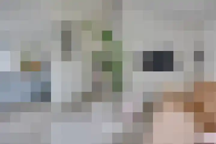 Agnietenhove 47 Leusden thumbnail 6