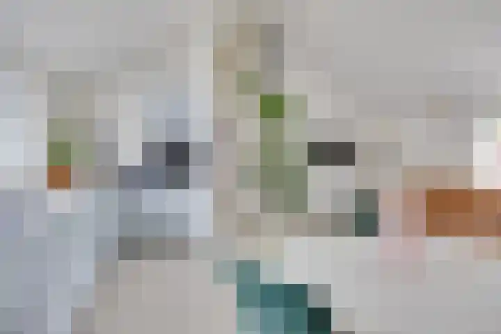 Agnietenhove 47 Leusden thumbnail 8