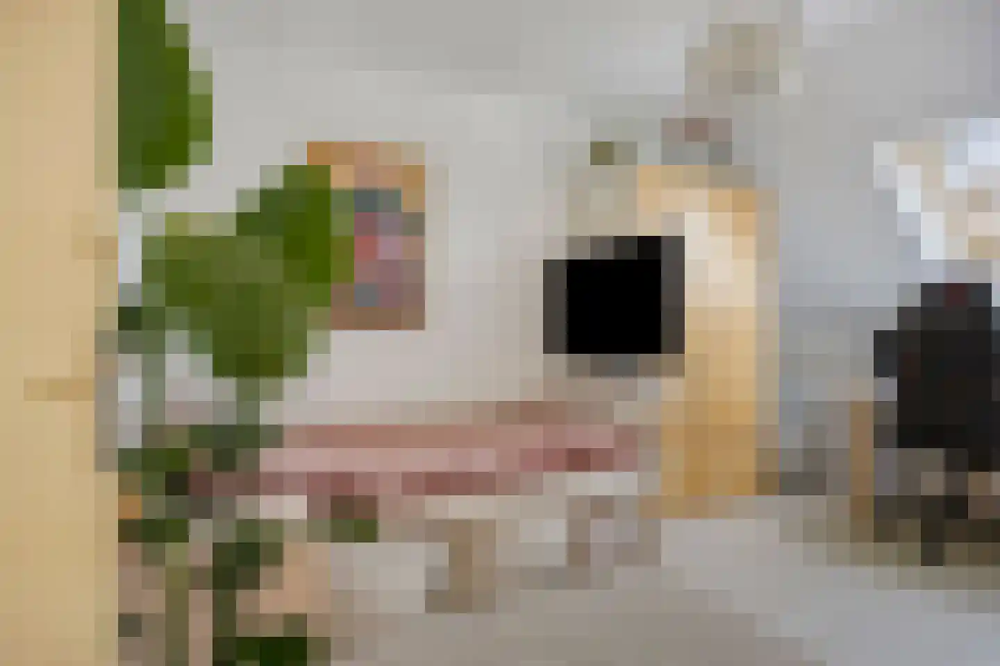 Agnietenhove 52 Leusden thumbnail 16