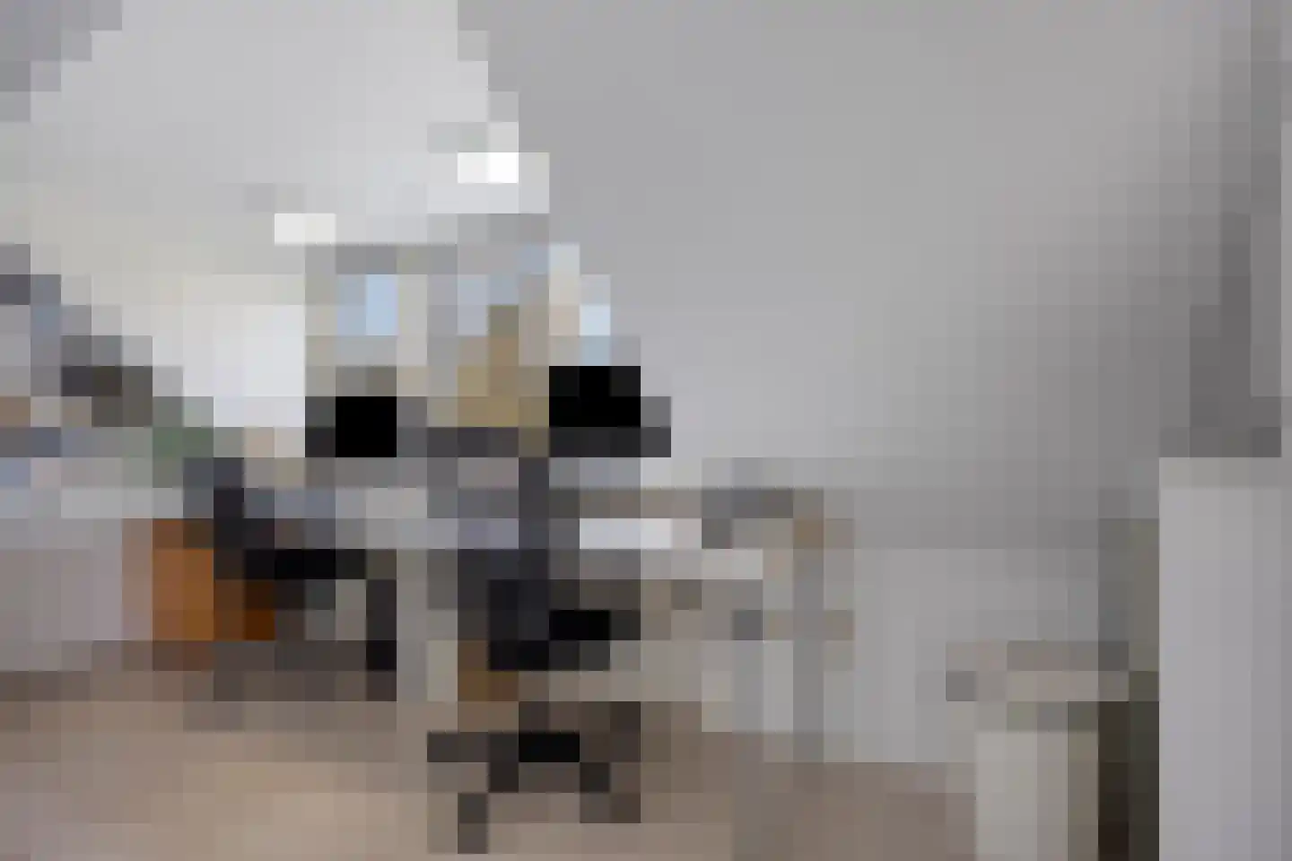 Agnietenhove 52 Leusden thumbnail 30