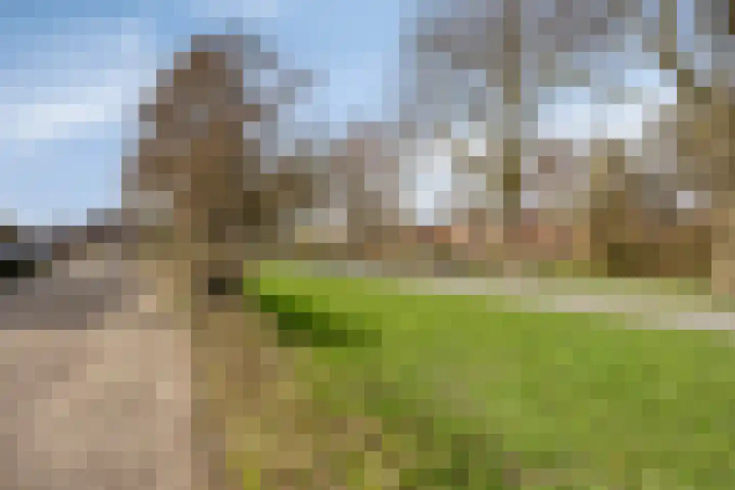 Agnietenhove 52 Leusden thumbnail 36