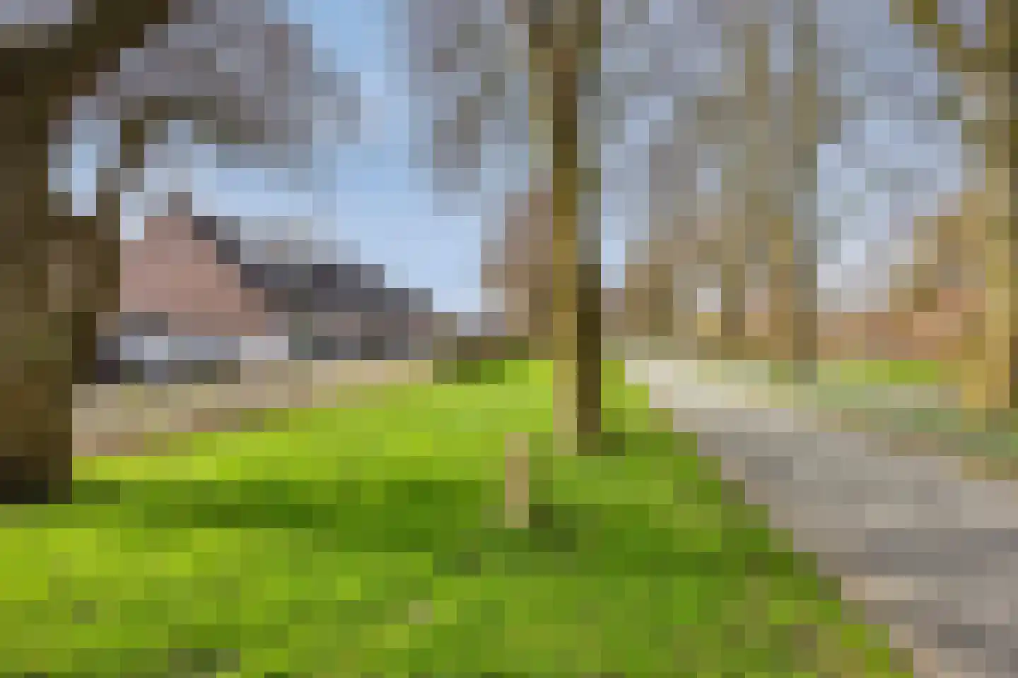 Agnietenhove 52 Leusden thumbnail 37