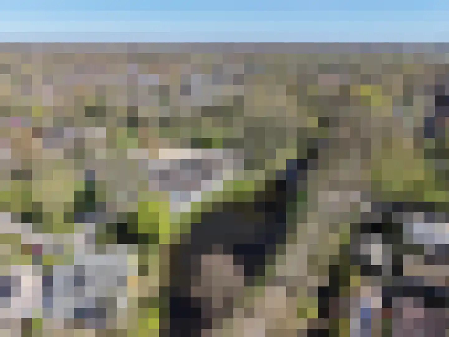 Agnietenhove 52 Leusden thumbnail 41