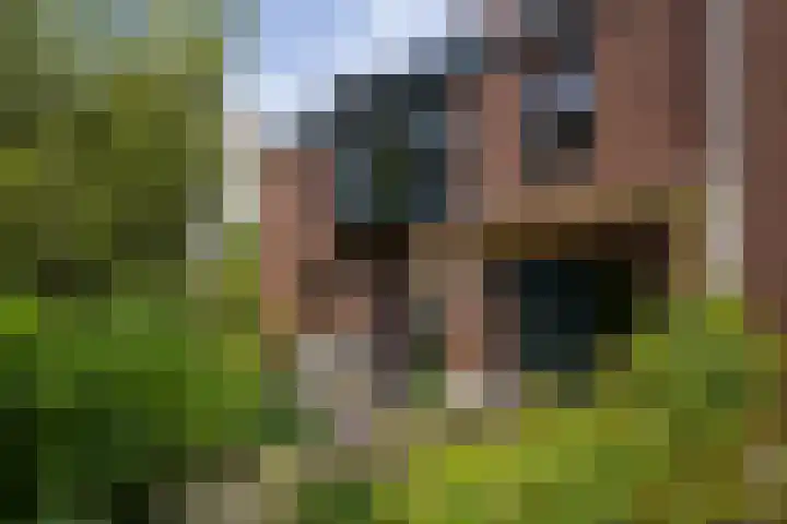 Agnietenpad 11 Den Haag thumbnail 10