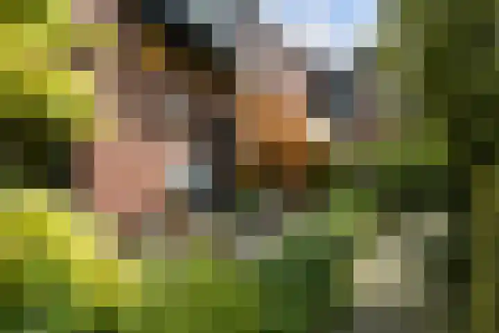 Agnietenpad 11 Den Haag thumbnail 11