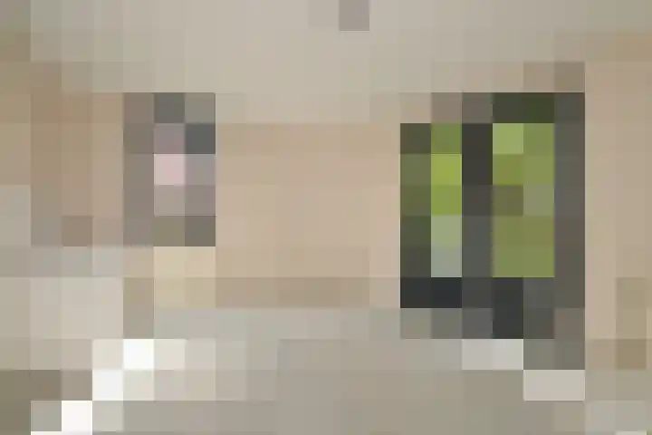 Agnietenpad 11 Den Haag thumbnail 15
