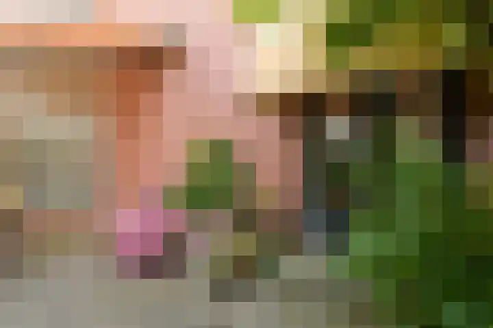 Agnietenpad 11 Den Haag thumbnail 17