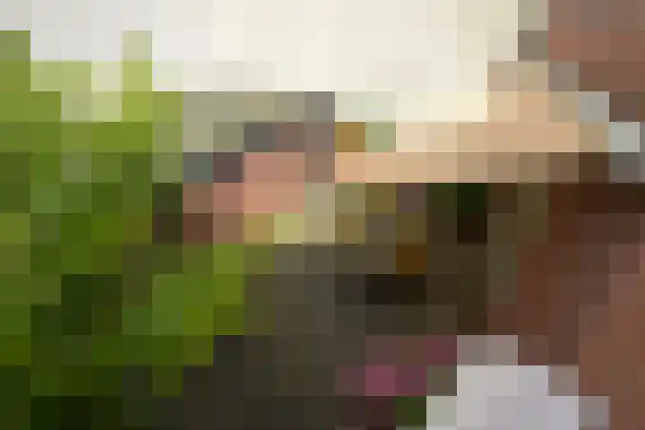 Agnietenpad 11 Den Haag thumbnail 18