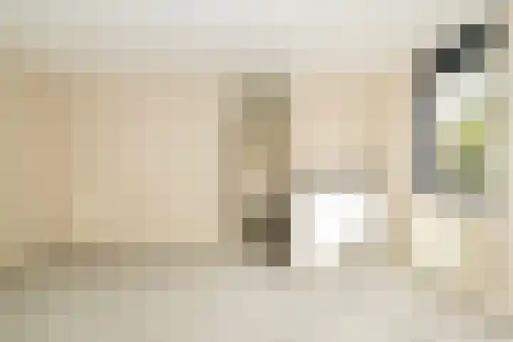 Agnietenpad 11 Den Haag thumbnail 21