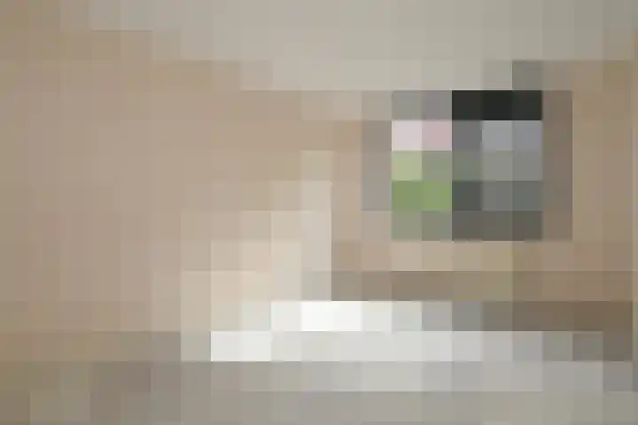Agnietenpad 11 Den Haag thumbnail 24