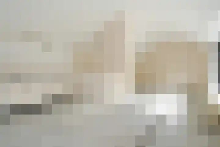Agnietenpad 11 Den Haag thumbnail 28