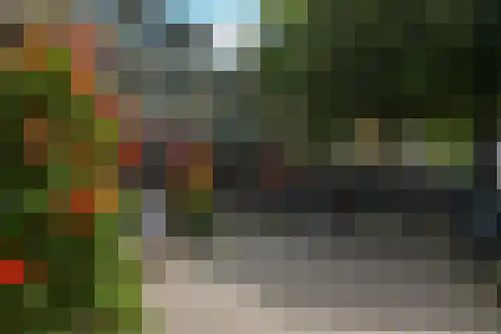 Agnietenpad 11 Den Haag thumbnail 33