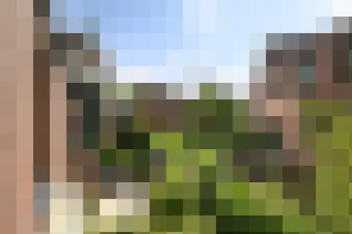 Agnietenpad 11 Den Haag thumbnail 4
