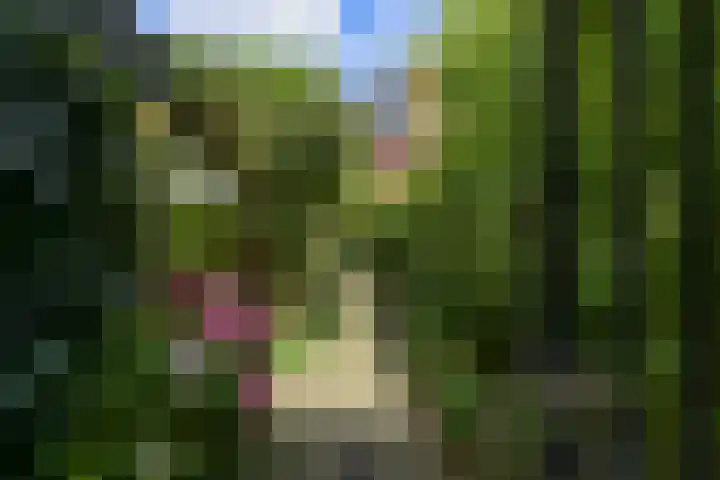 Agnietenpad 11 Den Haag thumbnail 9