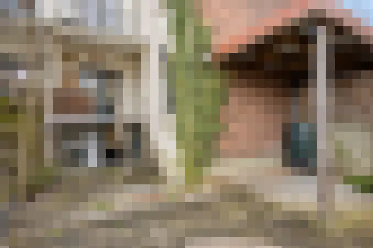 Agnietenstraat 101 Arnhem thumbnail 33