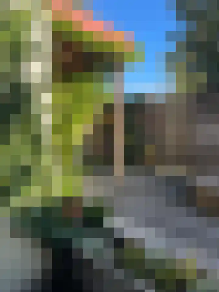 Agnietenstraat 101 Arnhem thumbnail 34