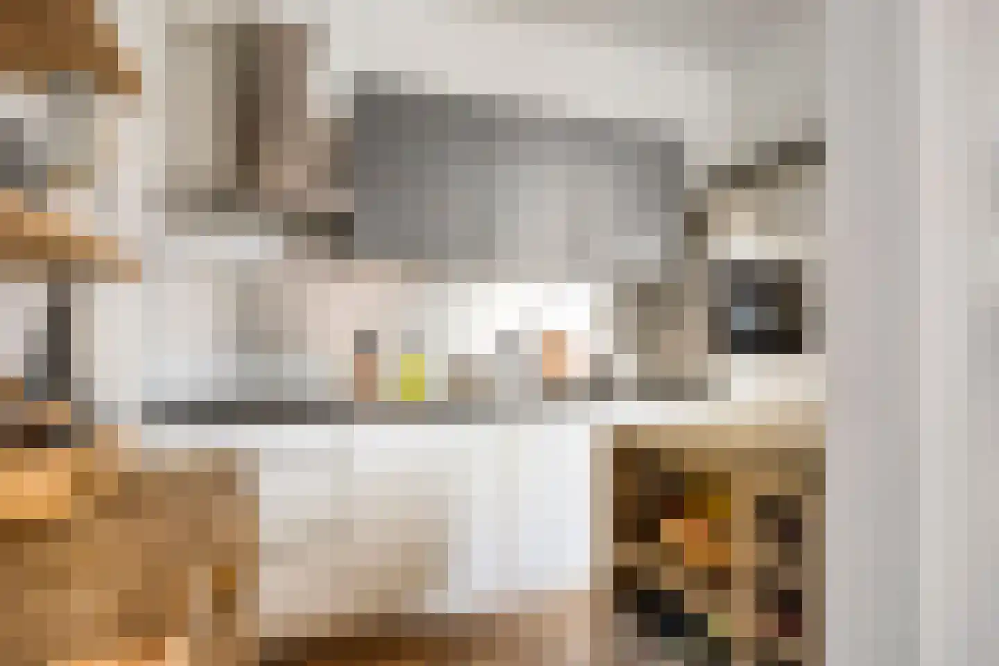 Agnietenstraat 101 Arnhem thumbnail 9