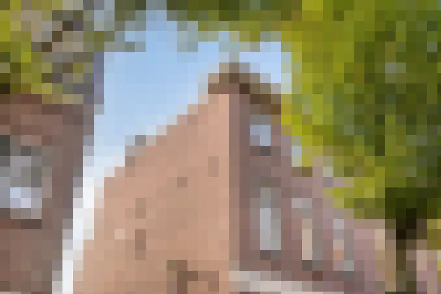 Agnietenstraat 107 A Arnhem thumbnail 26
