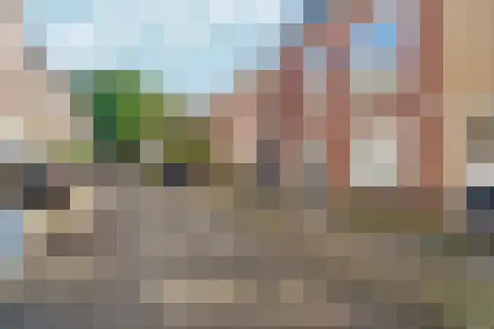 Agnietenstraat 27 2 Arnhem thumbnail 33