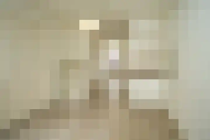 Agnietenstraat 38 Arnhem thumbnail 9