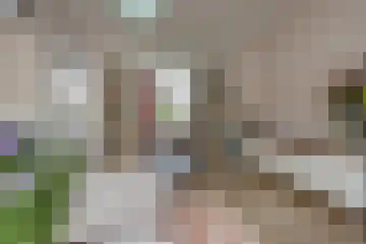 Agnietenstraat 53 Arnhem thumbnail 8