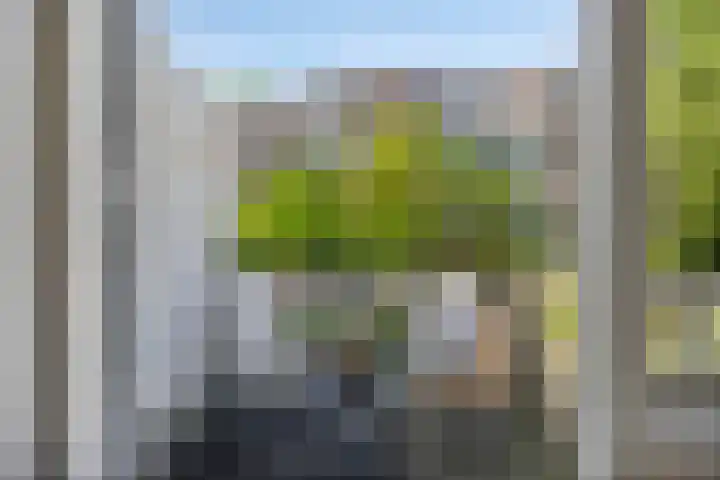 Agnietenstraat 60 Arnhem thumbnail 15