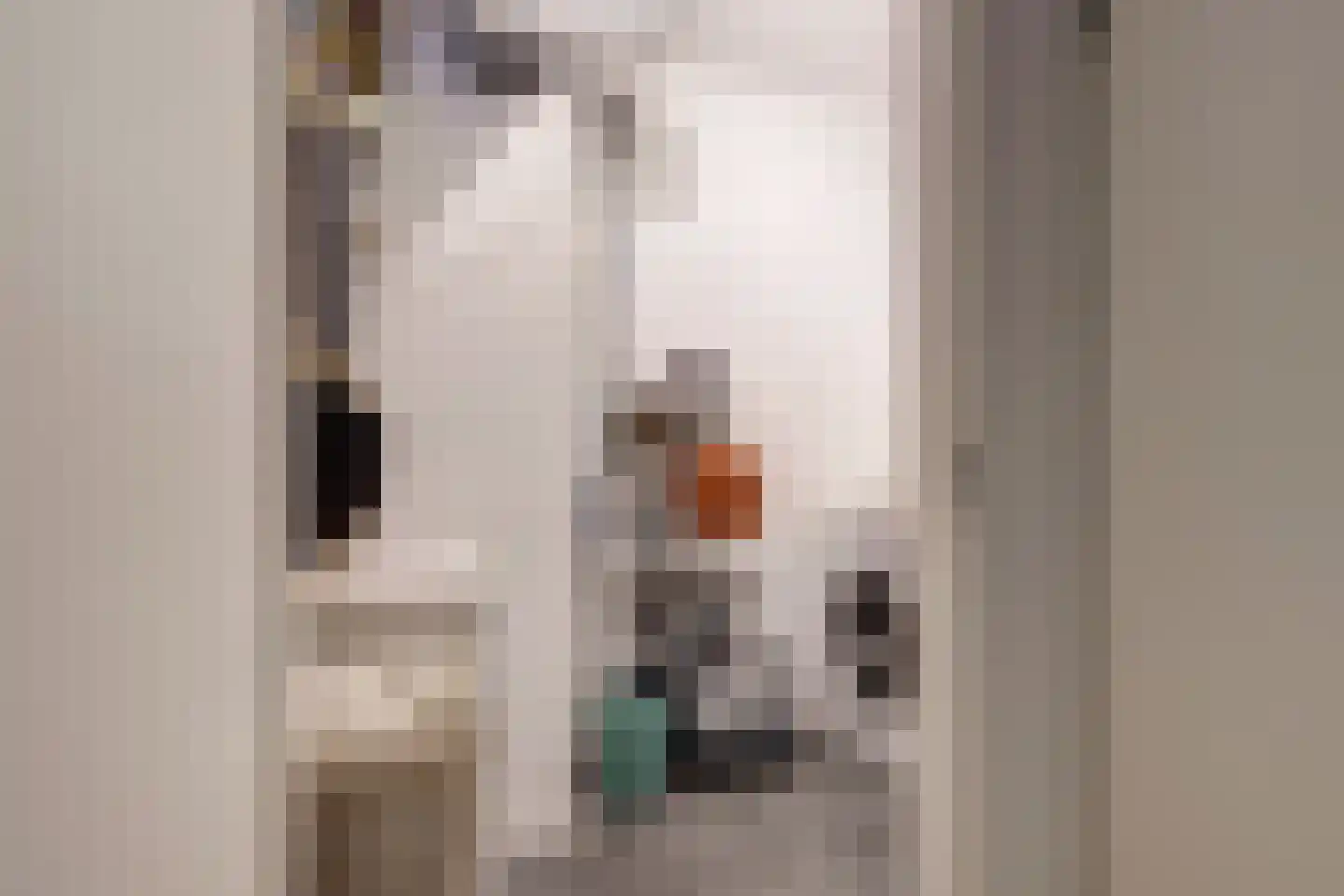 Agnietenstraat 64 Gouda thumbnail 23