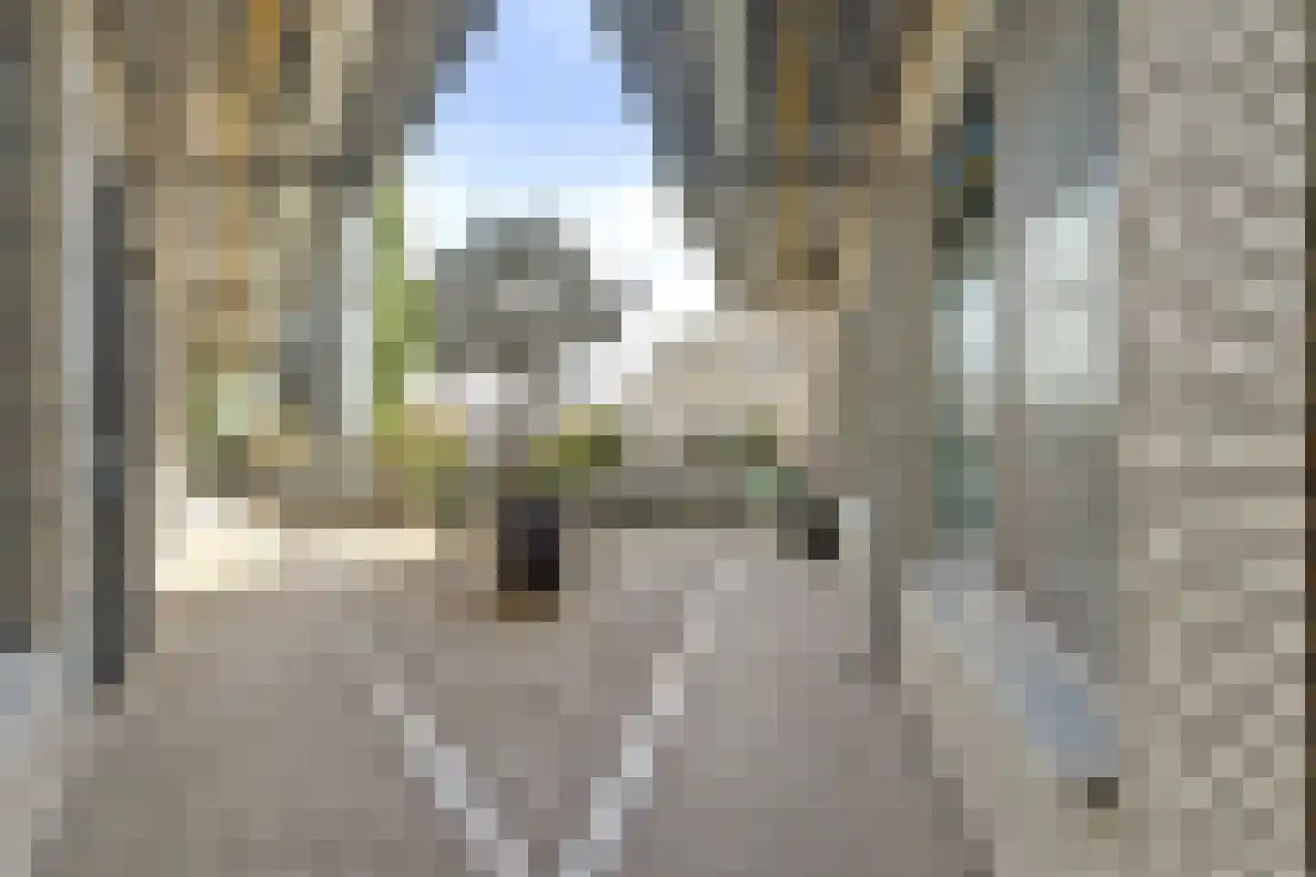 Agnietenstraat 64 Gouda thumbnail 33