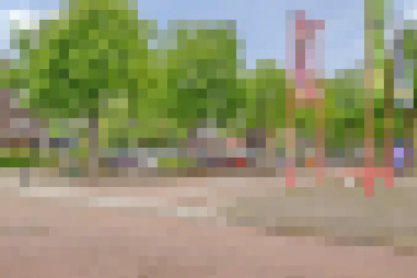 Agnietenstraat 64 Gouda thumbnail 46