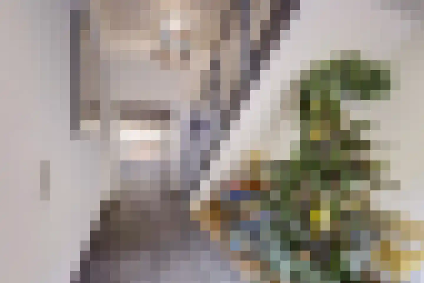 Agnietenstraat 64 Gouda thumbnail 9