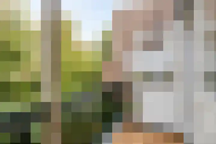 Agnietenstraat 78 Arnhem thumbnail 13