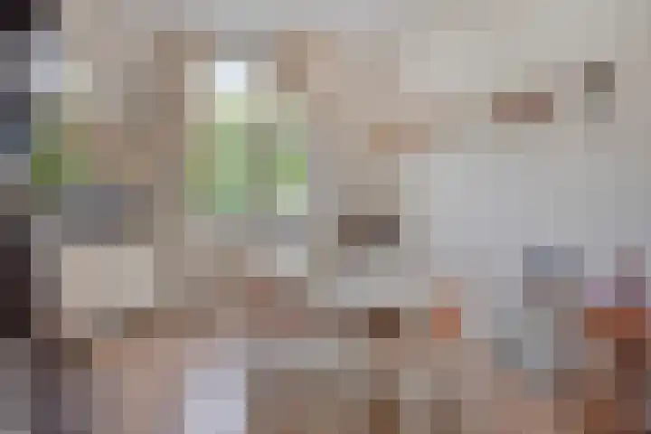 Agnietenstraat 78 Arnhem thumbnail 7