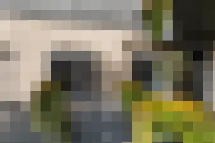 Agnietenstraat 82 Gouda thumbnail 8