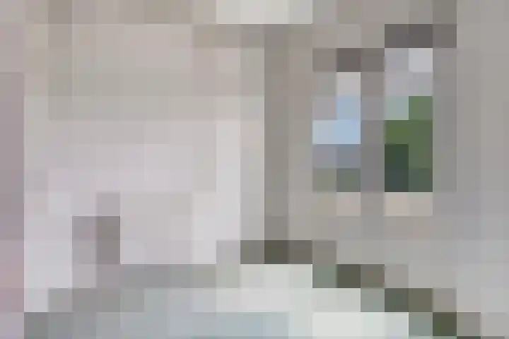 Agnietenstraat 95 Arnhem thumbnail 15