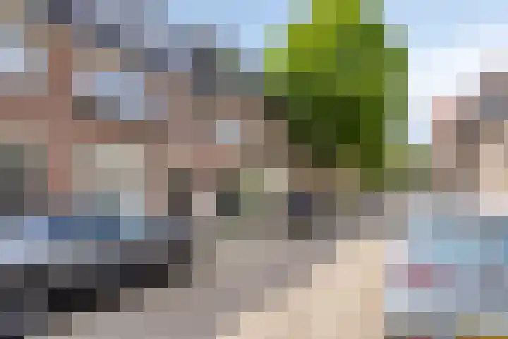 Agnietenstraat 95 Arnhem thumbnail 33