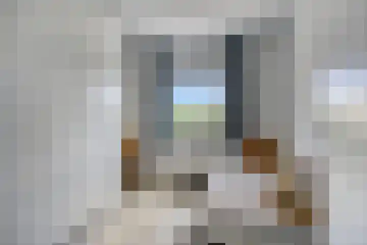 Agorabaan 35 Lelystad thumbnail 24