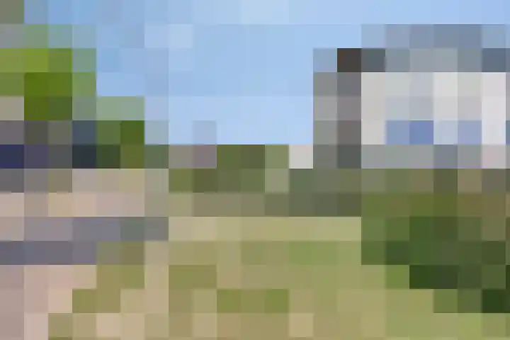Agorabaan 35 Lelystad thumbnail 4
