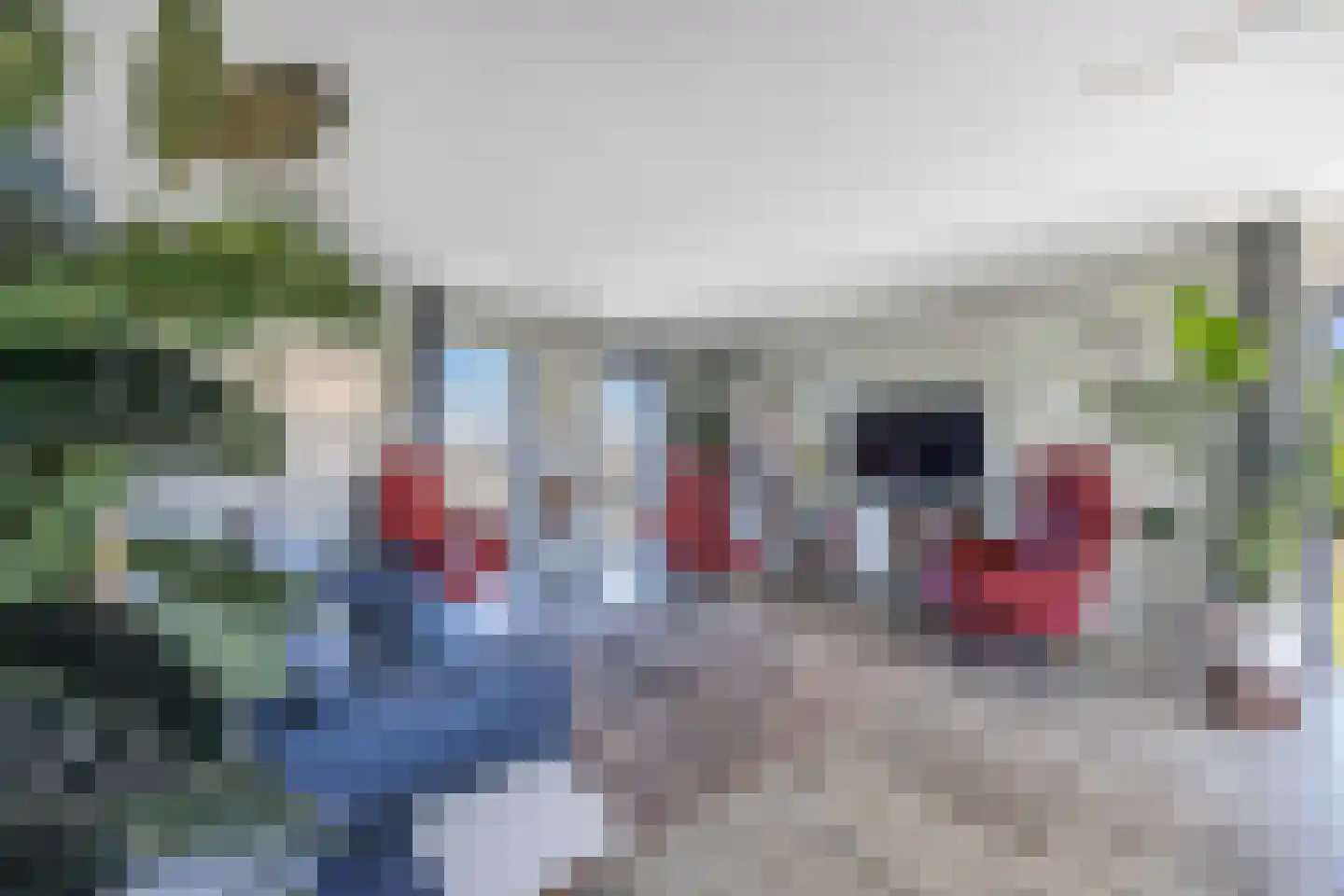 Agorabaan 39 Lelystad thumbnail 17