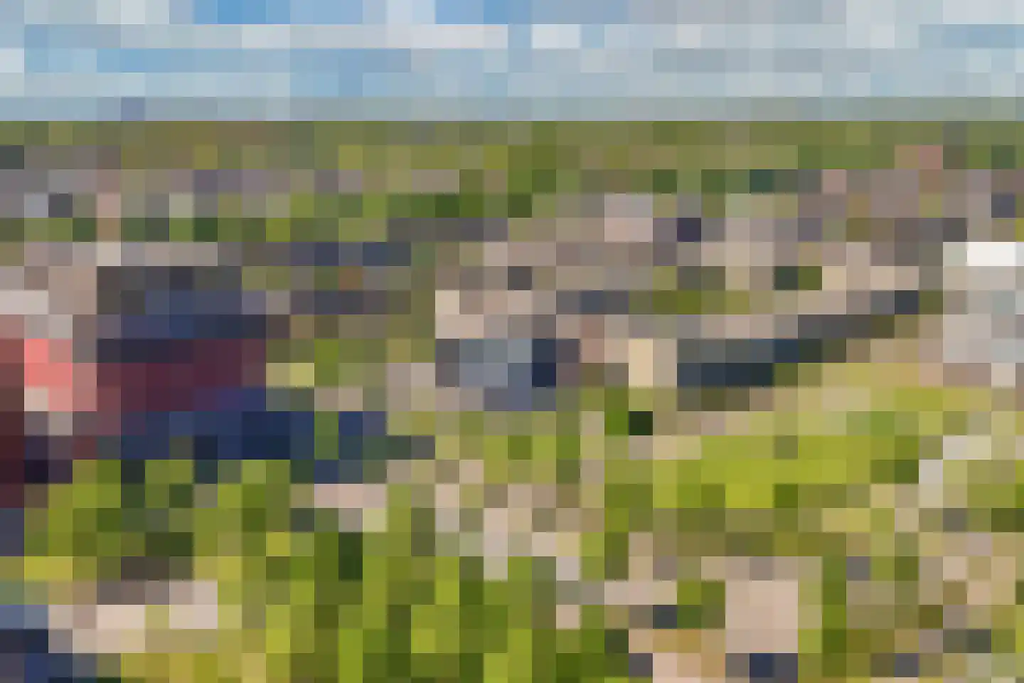 Agorabaan 39 Lelystad thumbnail 5
