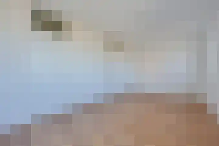 Agorahof 133 Lelystad thumbnail 18