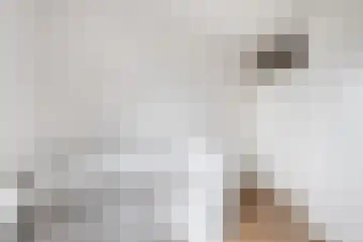 Agorahof 427 Lelystad thumbnail 37