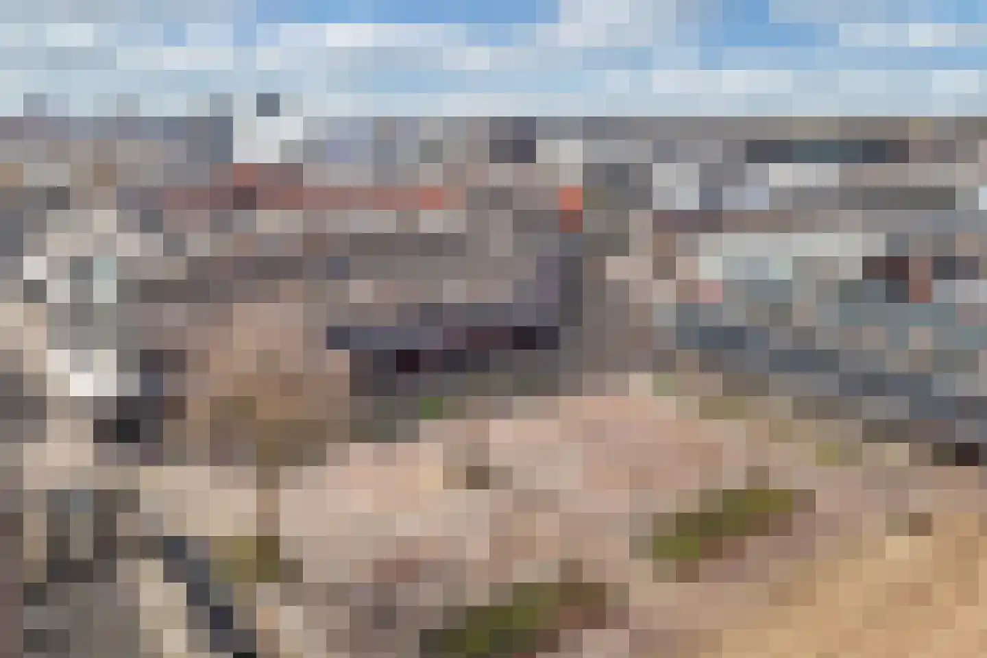 Agorahof 427 Lelystad thumbnail 5