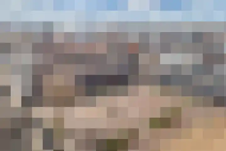 Agorahof 427 Lelystad thumbnail 5