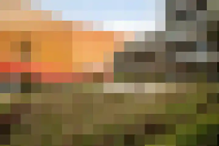 Agoraweg 113 Lelystad thumbnail 34