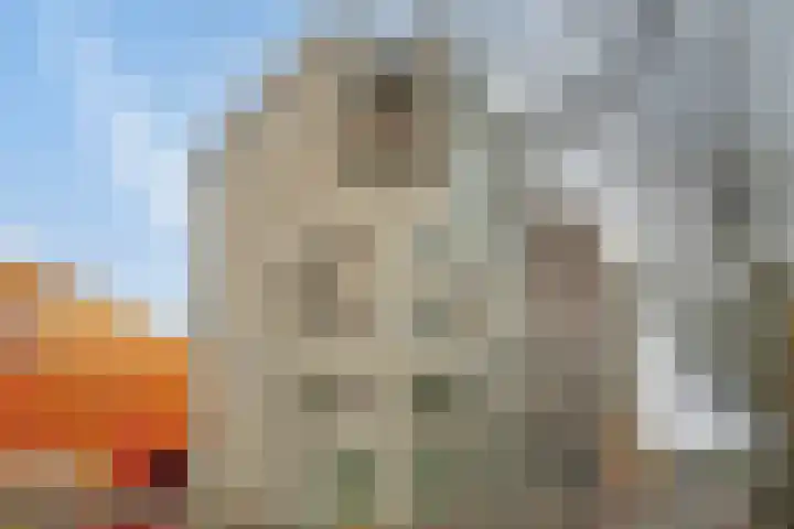 Agoraweg 123 Lelystad foto 2