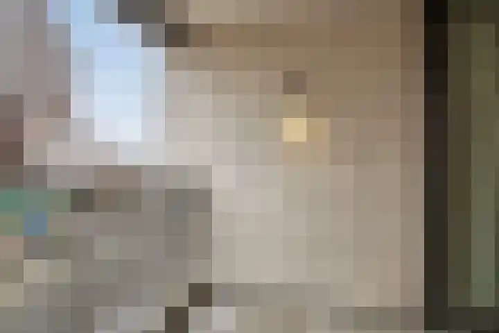 Agoraweg 123 Lelystad thumbnail 37
