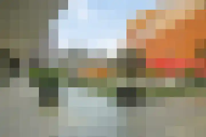 Agoraweg 123 Lelystad thumbnail 47