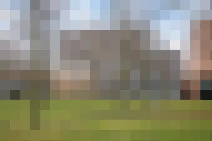 Agoraweg 123 Lelystad thumbnail 51